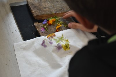 Zielono mi... EkoWakacje z Domem Kultury 2025